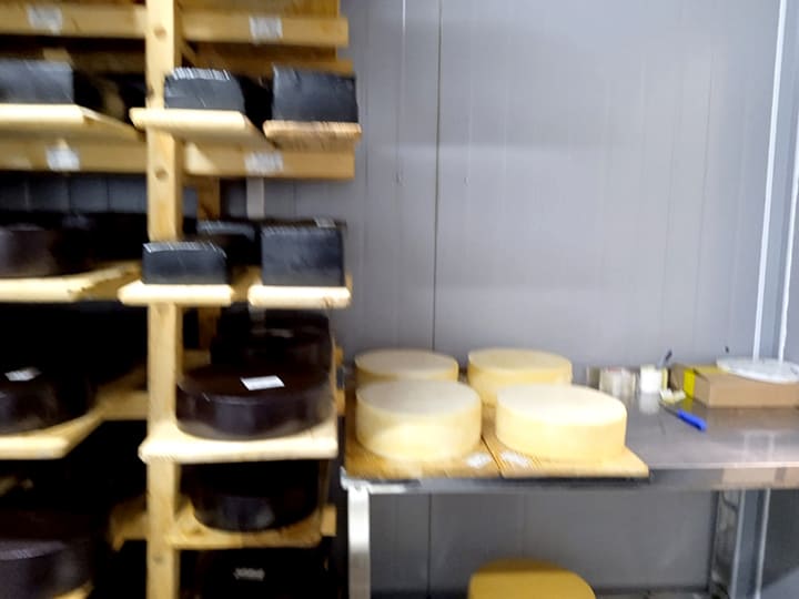 Посещение сырной фермы. В некоторых из маршрутов мы посещаем это производство, вам предоставляется возможность дегустации натуральных сыров, приготовленных по итальянским стандартам, а также с любовью, молитвой на русской земле.